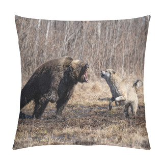 Personality   Bear And Dog . The Dog Attacks And Bites The Bear Pillow Covers