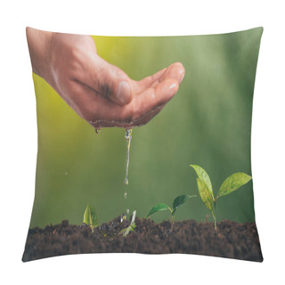 Personality  Partial View Of Man Watering Young Green Plant On Blurred Background, Earth Day Concept Pillow Covers