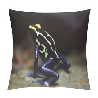 Personality  Dyeing Dart Frog Pillow Covers