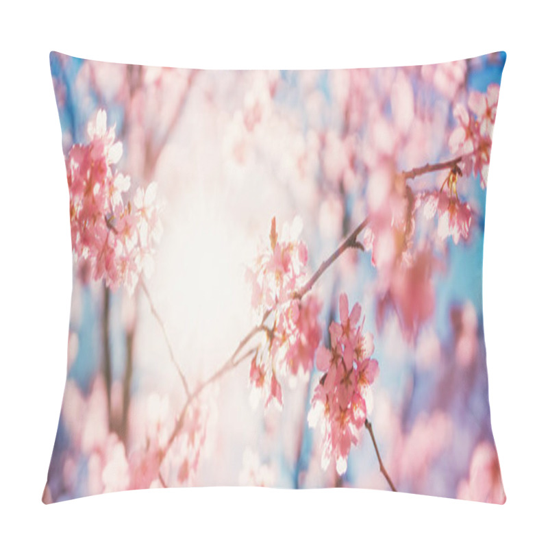 Personality  Blurred sakura tree twigs on blue background. Spring flowers on beautiful sunny day. pillow covers