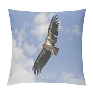 Personality  American Condor Pillow Covers