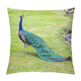 Personality  Peacock Pillow Covers