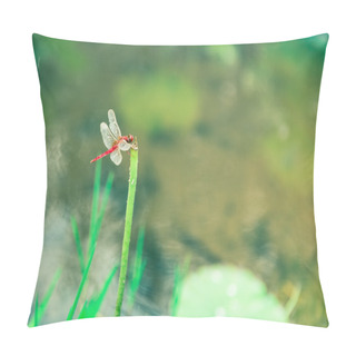 Personality  The Lotus Leaf And The Dragonfly In The Pond Pillow Covers