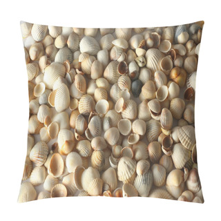 Personality  Shells Pillow Covers