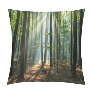 Personality  Beautiful Sunny Morning In The Green Forest Pillow Covers