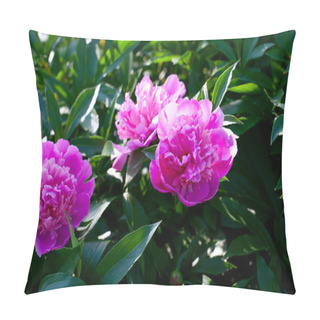 Personality  Growing Peonies With Green Leaves Pillow Covers