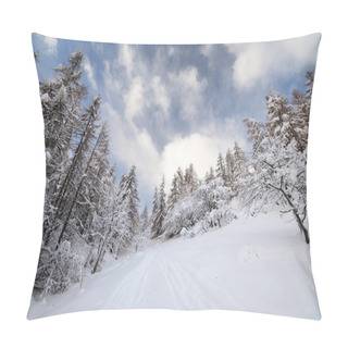 Personality  Winter Time In The Alps. Pillow Covers