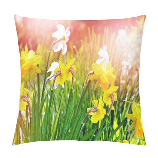 Personality  Spring Landscape. Beautiful Spring Flowers Daffodils.  Pillow Covers