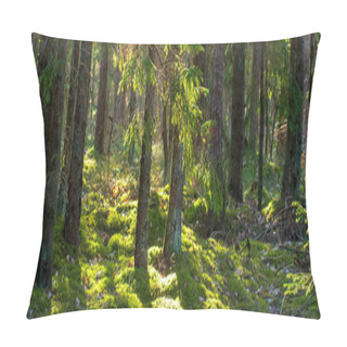 Personality  Forest Nature Background. Summer Green Forest Pillow Covers