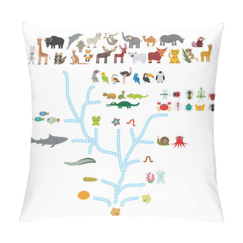 Personality  Evolution in biology, scheme evolution of animals isolated on white background. children's education, science. Evolution scale from unicellular organism to mammals. back to school. Vector illustration pillow covers