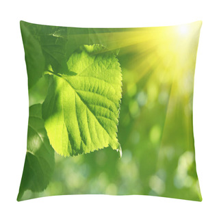 Personality  Closeup Of Green Leaf And Sun Beams Pillow Covers