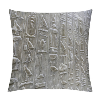 Personality  Pyramid Texts In Pyramid Of Unas, Saqqara, Cairo, Egypt Pillow Covers