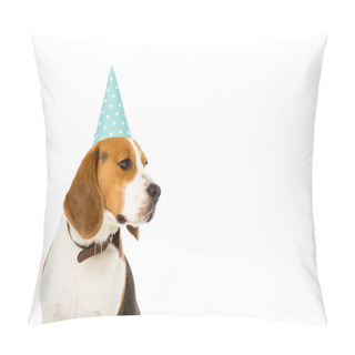 Personality  Side View Of Beagle Dog In Party Cone Isolated On White Pillow Covers