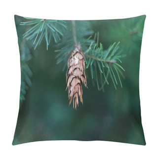 Personality  Cone Of A Douglas Fir Pillow Covers