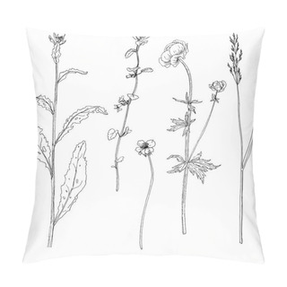 Personality  Set Of Ink Drawing Herbs And Flowers Pillow Covers