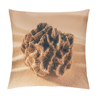 Personality  Close Up View Of Coral On Sandy Beach Pillow Covers