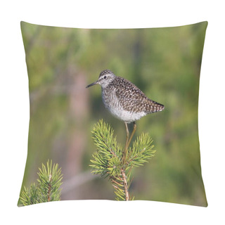 Personality  Tringa Glareola. Wood Sandpiper On A Tree In The Morning Light O Pillow Covers