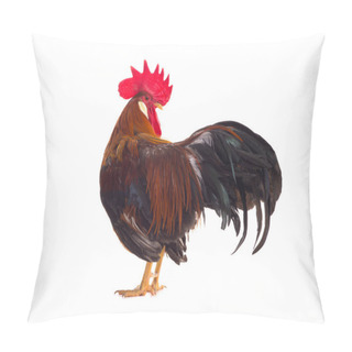 Personality  Rooster  Isolated On White  Pillow Covers