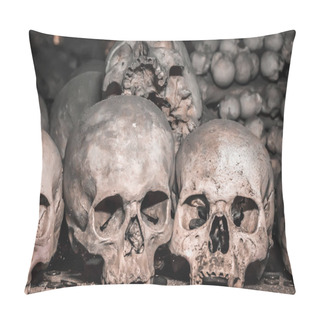 Personality  Human Skulls And Bones  Pillow Covers