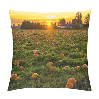 Personality  Sunset In Pumpkin Patch Pillow Covers