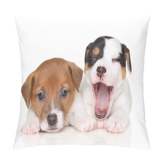 Personality  Jack Russell Puppies Pillow Covers