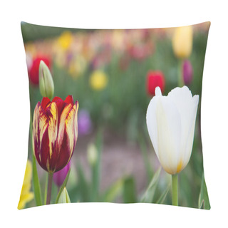 Personality  Contrasting Tulips Pillow Covers