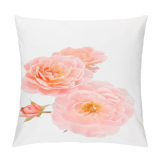 Personality  Peach Pink Garden Rose Cluster Pillow Covers