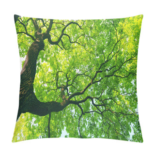 Personality  Mighty Tree With Green Leaves Pillow Covers