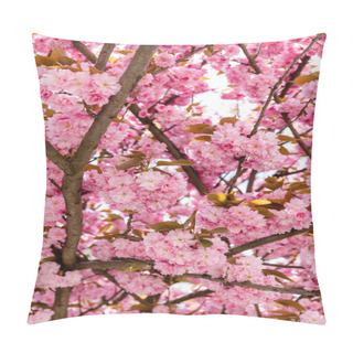 Personality Branches Of Blossoming Pink Flowers On Cherry Tree Pillow Covers