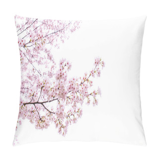 Personality  Isolated Sakura Tree Pillow Covers
