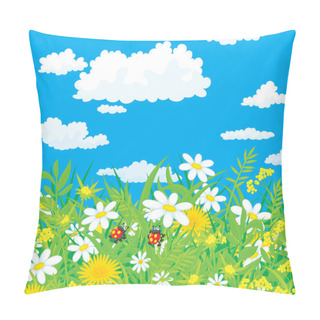 Personality  Ladybugs In A Field With Chamomiles Pillow Covers