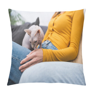 Personality  Cropped View Of Sphynx Cat Sitting On Blurred Woman In Living Room  Pillow Covers