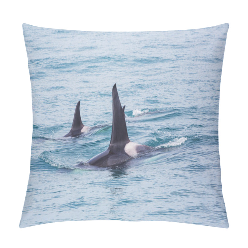 Personality  Killer Whales in Alaska pillow covers