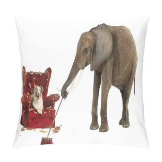 Personality  African Elephant Sweeping After A Dog Messed Up An Armchair, Iso Pillow Covers
