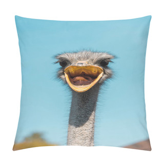Personality  Selective Focus Of Beautiful Ostrich With Open Beak Against Blue Sky Pillow Covers