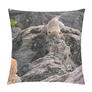 Personality  Leopard, Wildlife Scene In Nature Habitat Pillow Covers