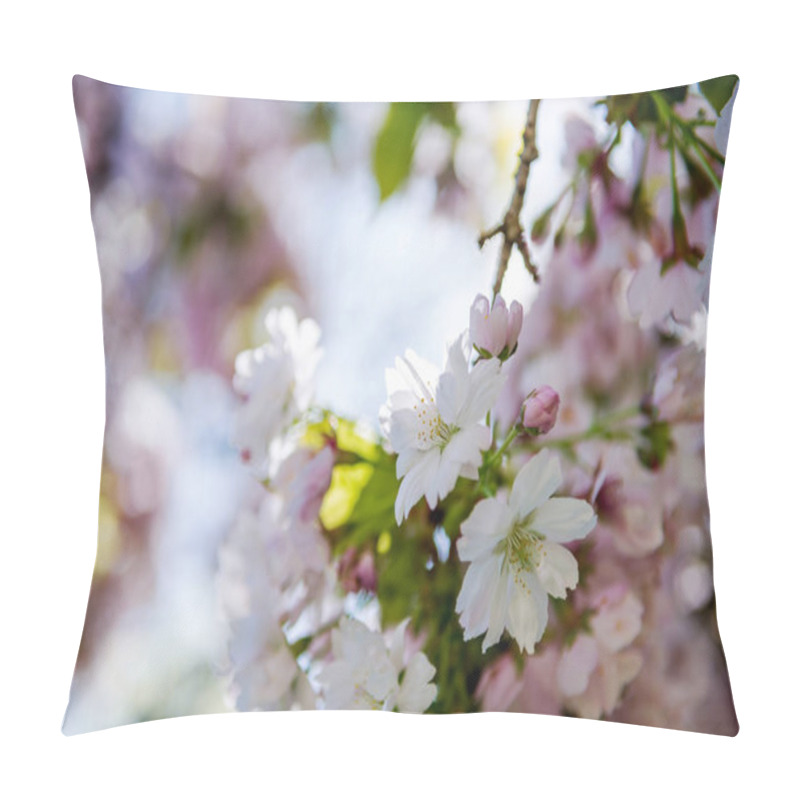 Personality  close up view of flowers on branches of cherry blossom tree  pillow covers