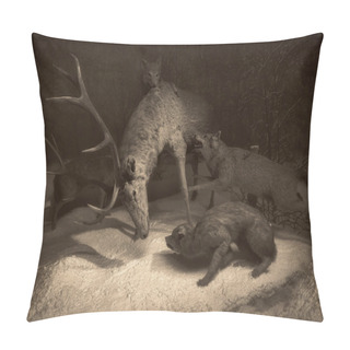 Personality  Wildlife Scene Pillow Covers