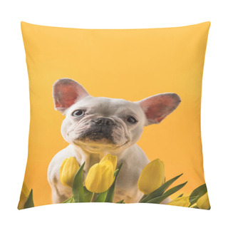 Personality  Cute Dog And Beautiful Yellow Tulips Isolated On Yellow  Pillow Covers