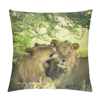 Personality  Loving Pair Of Lion And Lioness Pillow Covers