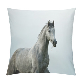 Personality  Andalusian Stallion Pillow Covers