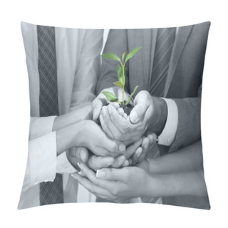 Personality  Business Team Holding Together Fresh Green Sprout Closeup Pillow Covers