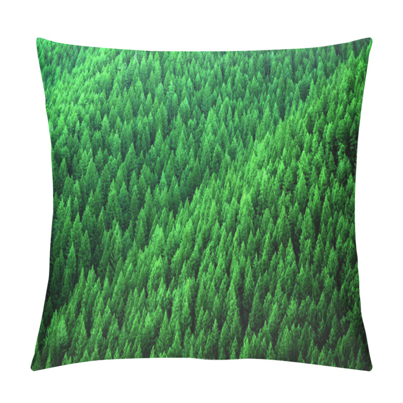 Personality  Forest Of Pine Trees In Wilderness Mountains Pillow Covers