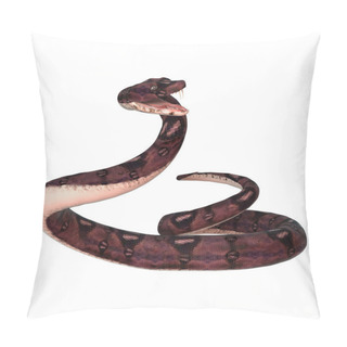 Personality  Anaconda Snake On White Pillow Covers