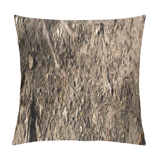 Personality  Top View Of Ground With Tree Roots, Panoramic Shot Pillow Covers