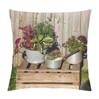 Personality  Several Perennial Plants, Plantet In Vintage Kitchen Utensils. Pillow Covers
