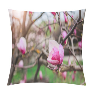 Personality  Blossom Magnolias Over Nature Background. Beautiful Nature Scene With Blooming Tree, Sun And Snow. Easter Sunny Day. Spring Flowers. Springtime. Selective Focus Pillow Covers