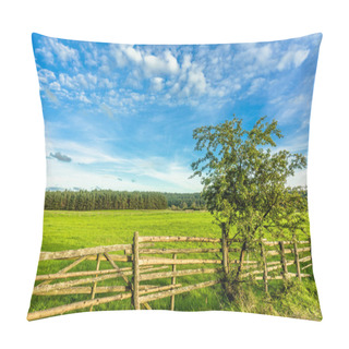 Personality  Lonely Tree On Green Field Near Dirt Road, Rural Scene, Countryside Landscape Pillow Covers
