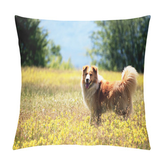 Personality  Cute Dog Pillow Covers