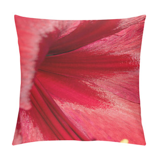 Personality  A Beautiful Red Amaryllis Flower Close Up Of Petals Pillow Covers